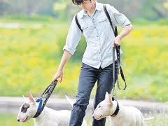 В Луцке ввели плату за содержание собак