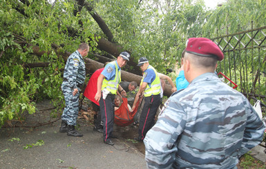 Апокалипсис на Куреневке: ураган срывал крыши и валил деревья с корнями 
