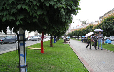 Деревья на проспекте Шевченко нарядили в европейские флаги