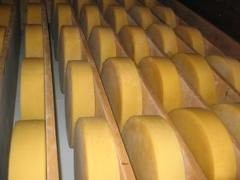 Сыры украинского производства прошли проверку Роспотребнадзора