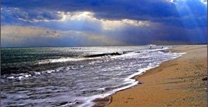 На побережье Азовского моря отдыхающие нашли мертвую пенсонерку