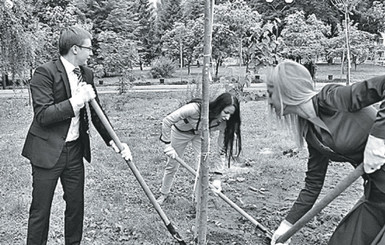 В парке имени Заньковецкой появились новые деревья 