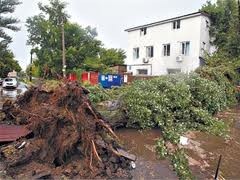 Украинцам стоит привыкать к частым ураганам и смерчам