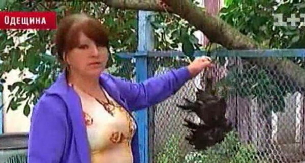 Ливень под Одессой 