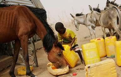 Почему ЕС подписал соглашение об ассоциации с Мавританией и не подписывает с Украиной 
