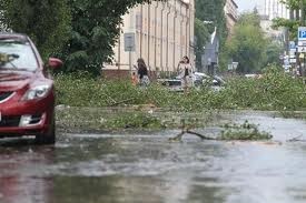 В Черниговской области ураган разметал деревья, разбил машины и отключил свет