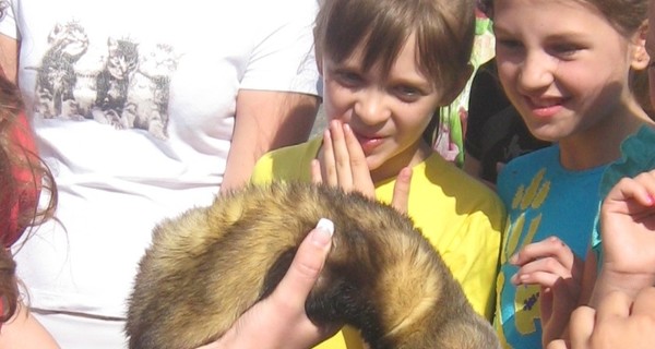 Хорек-предсказатель считает, что Украина 