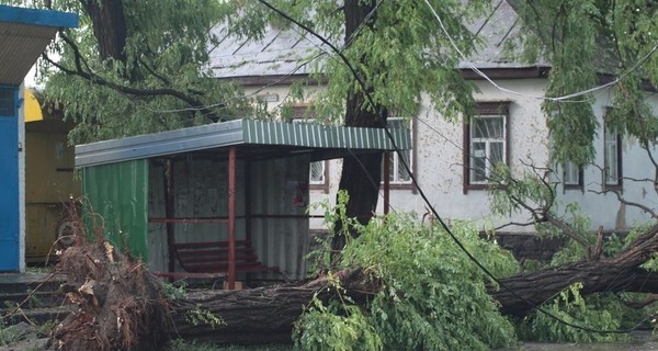 На Полтавщине шквальный ветер убил человека - еще три в больнице