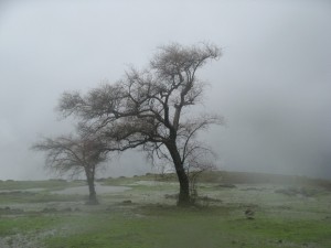 Украинской сборной в Донецке придется играть под дождем