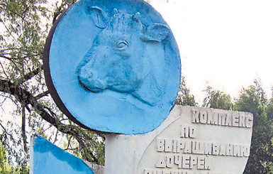 Загадочный объект на Житомирщине: Комплекс по выращиванию дочерей оцениваемых быков 