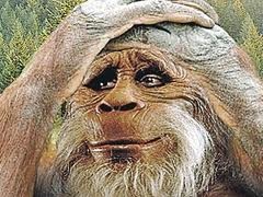 На Донбассе йети воруют одежду и лакомятся кукурузой