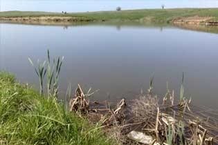 Загадочная смерть: мужчину затащило под воду неизвестное существо