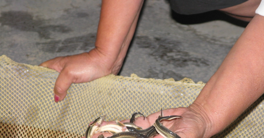 Завтра в Днепр запустят 