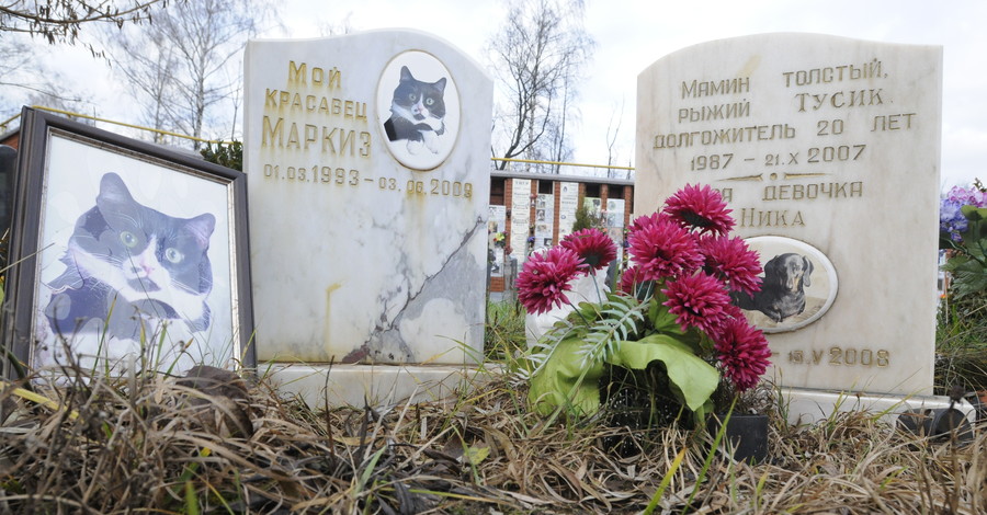 Харьковчан приучат к цивилизованному прощанию с умершими питомцами