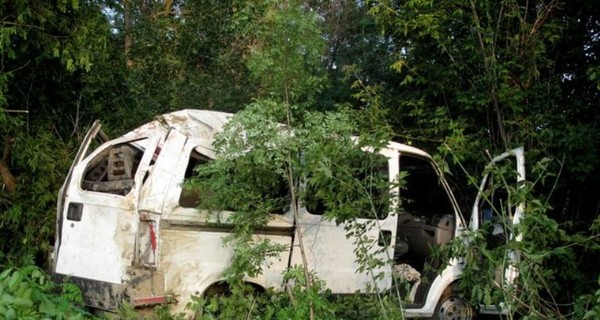Под Киевом автобус врезался в дерево. Есть жертвы