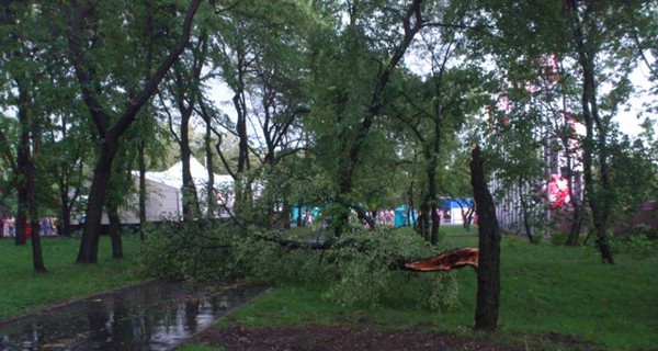 Над Черкасчиной пронесся ураган: ветер ломал деревья и срывал крыши