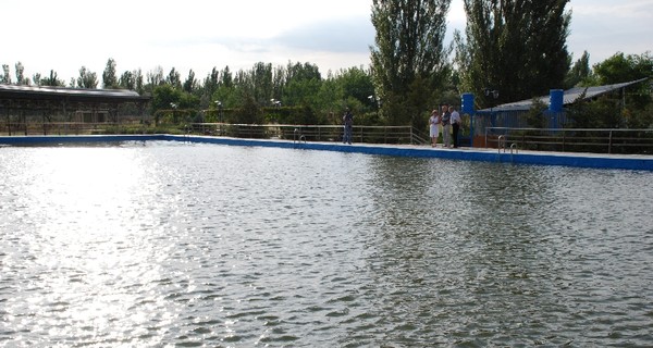 В лагере на Черном море отравились 40 детей никопольских металлургов