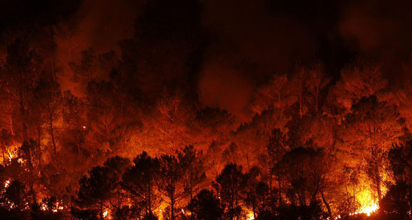 В Испании продолжают бушевать лесные пожары: есть жертвы