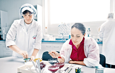 На экспорте продуктов можно ежегодно зарабатывать до 6 миллиардов гривен 