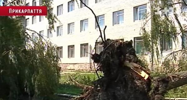 В Ивано-Франковске ураган с ливнем ломал крыши и выворачивал с корнями деревья