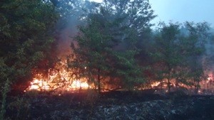 В Донецком ожоговом центре будут спасать лесников из Херсона