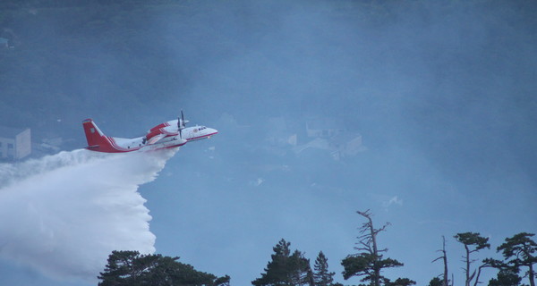 Пожар под Ялтой пока не удается погасить: площадь возгорания увеличивается 