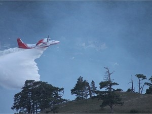 Пожар возле Ялты тушат почти 700 человек