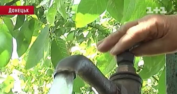 Из кранов жителей Донецка течет вода с червями