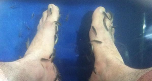 Киркоров на Крите кормил рыб своими ногами