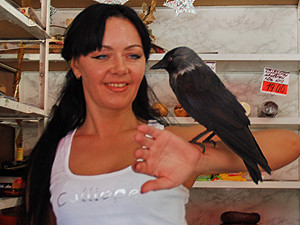 Галка Ара ворует у прохожих виноград и деньги