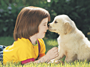 7 советов по воспитанию щенка