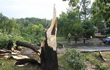 В Ивано-Франковской области прошелся сильный ураган