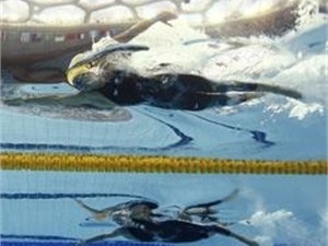 На Олимпиаде в Лондоне украинские пловцы выступали в драных костюмах