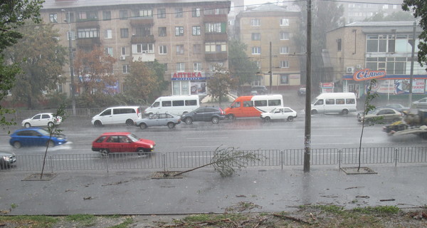 В Днепропетровске поваленные ураганом деревья завалили проходы во дворы домов