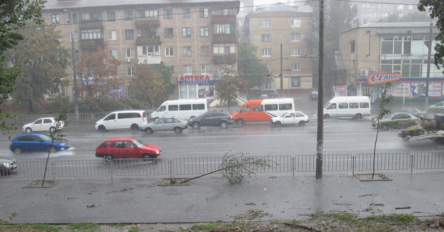 В Днепропетровске поваленные ураганом деревья завалили проходы во дворы домов
