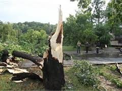 Буря в Днепропетровской области повредила теплотрассу и газопровод