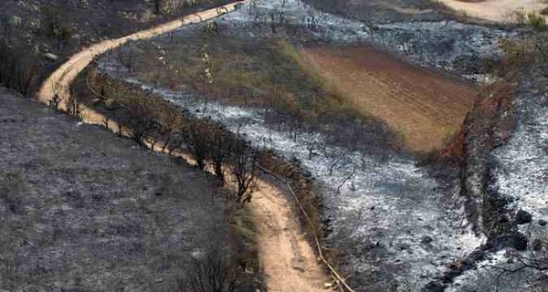 На Канарах бушуют лесные пожары: эвакуированы почти пять тысяч человек