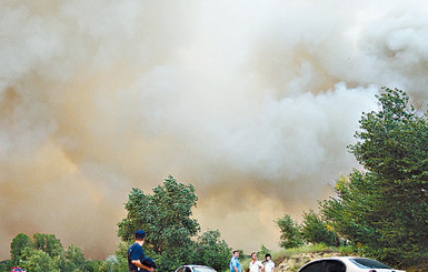 Виновным в поджоге Херсонского леса оказался пастух 
