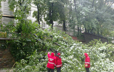 Последствия стихии: на Крещатике дерево раздавило семь машин на $300 тысяч