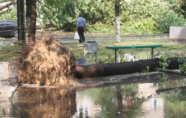 Сегодня ночью буря оставила без света 300 населенных пунктов