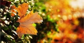 Три дождя в сентябре: ждать ли киевлянам бабьего лета?