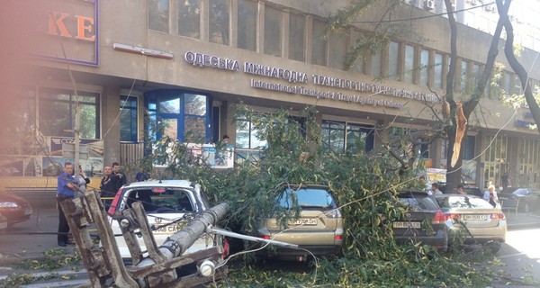 В Одессе упавший столб раскурочил четыре автомобиля