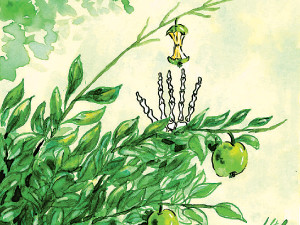 Что вы ждете от этой осени?