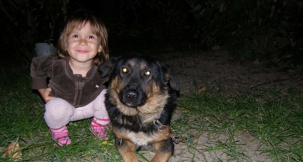 Пес неделю прождал хозяина на балконе заброшенного здания