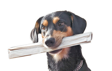 В Киеве три дня будут обсуждать свободу слова и будущее газет 