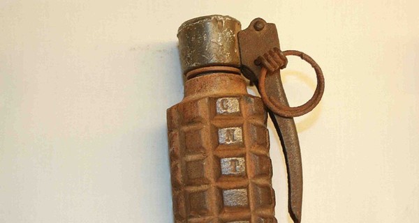 Свиньи откопали три действующие гранаты на Черниговщине