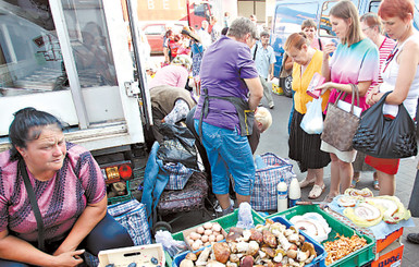 В Киев везут радиоактивные грибы 