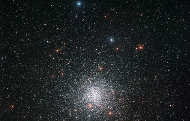 Одна из звёзд шарового скопления в галактике Млечный путь знает секрет вечной молодости, - ученые 