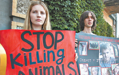 Киевского потрошителя щенков могут выпустить на свободу