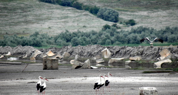 Одесский Куяльник высыхает: целебные грязи, стоимостью $5 миллиардов, могут пропасть